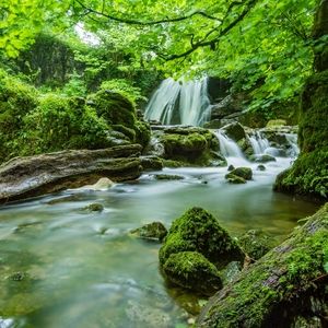 Meet your Posher, Maryann